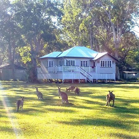 Lake Weyba Noosa Lodge & Kangaroos Peregian Beach Eksteriør billede