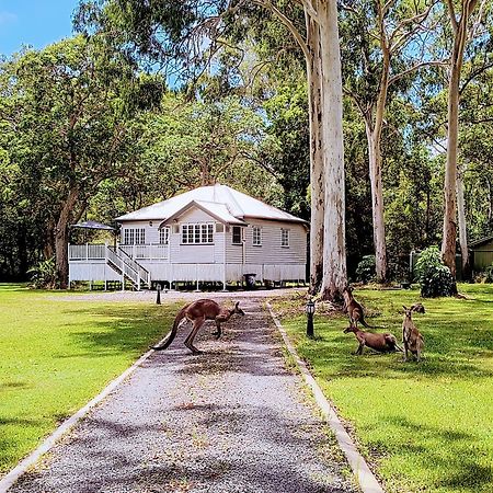 Lake Weyba Noosa Lodge & Kangaroos Peregian Beach Eksteriør billede