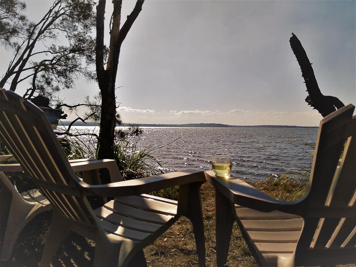 Lake Weyba Noosa Lodge & Kangaroos Peregian Beach Eksteriør billede
