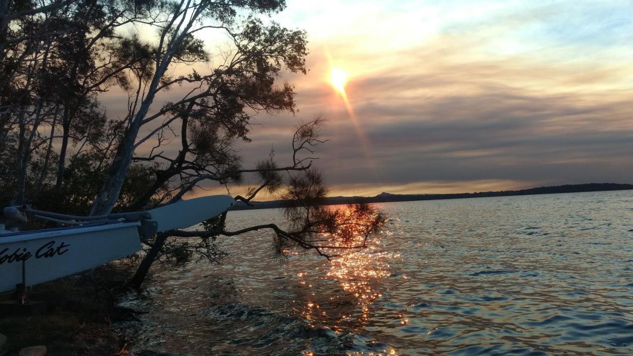 Lake Weyba Noosa Lodge & Kangaroos Peregian Beach Eksteriør billede