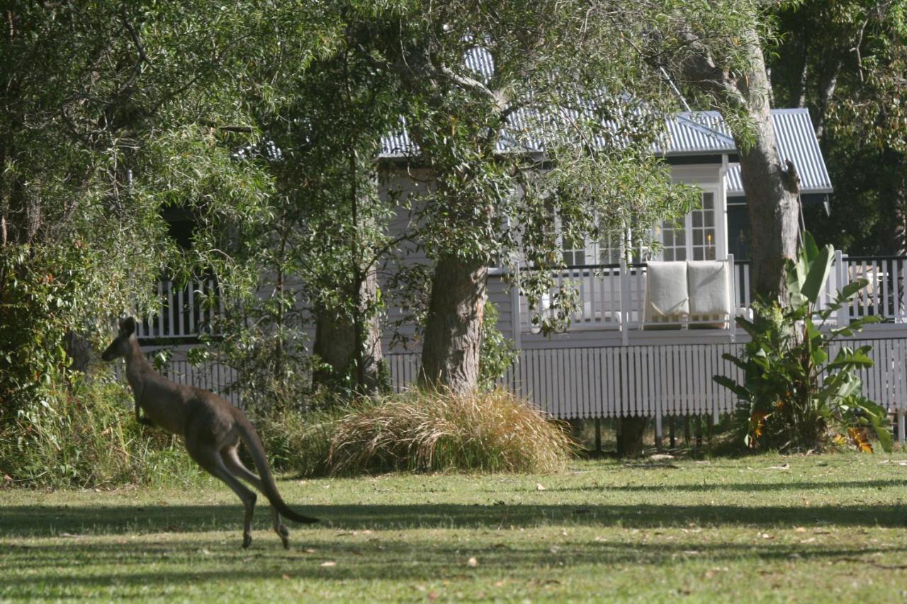Lake Weyba Noosa Lodge & Kangaroos Peregian Beach Eksteriør billede