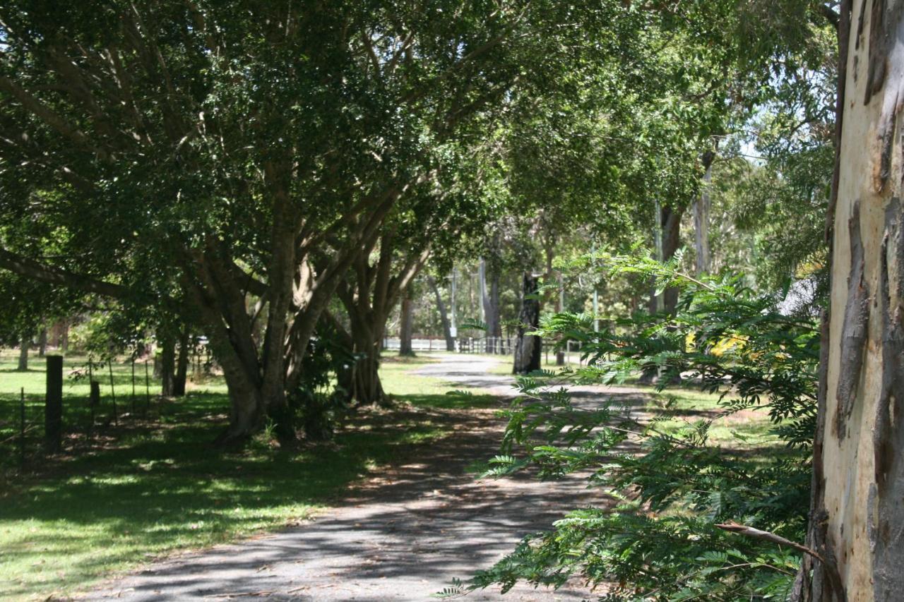 Lake Weyba Noosa Lodge & Kangaroos Peregian Beach Eksteriør billede