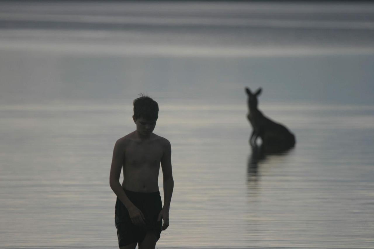 Lake Weyba Noosa Lodge & Kangaroos Peregian Beach Eksteriør billede