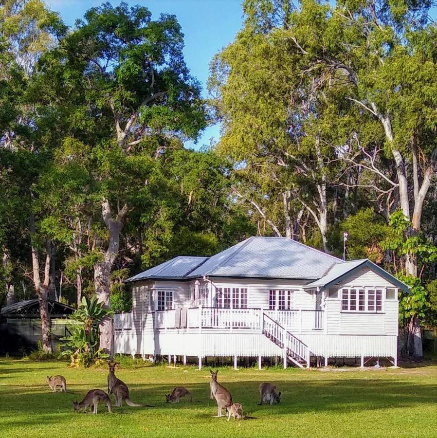 Lake Weyba Noosa Lodge & Kangaroos Peregian Beach Eksteriør billede