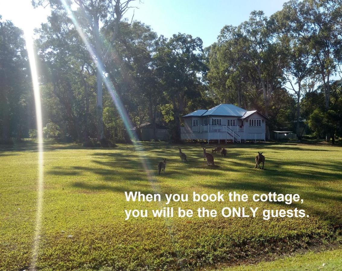 Lake Weyba Noosa Lodge & Kangaroos Peregian Beach Eksteriør billede