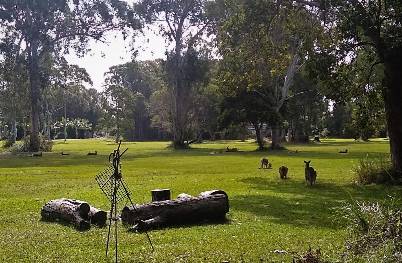 Lake Weyba Noosa Lodge & Kangaroos Peregian Beach Eksteriør billede