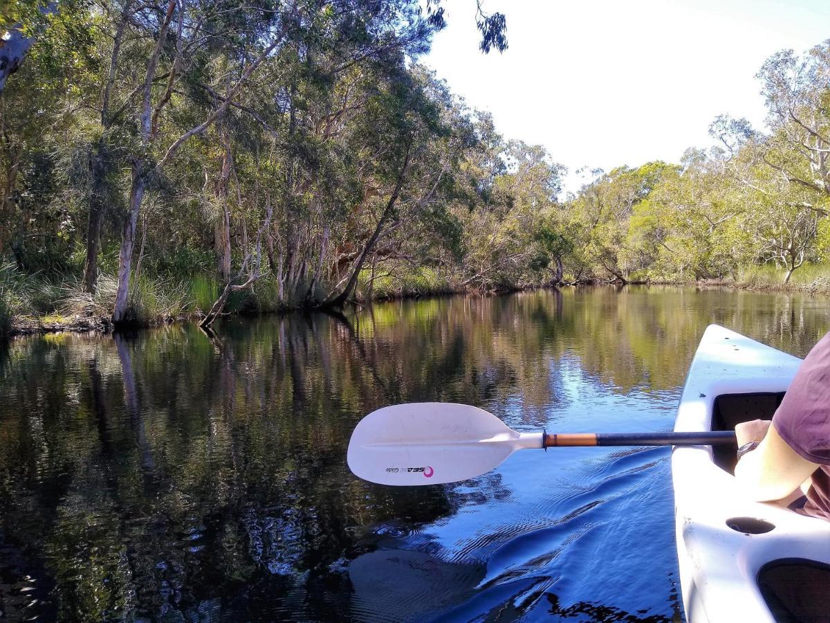 Lake Weyba Noosa Lodge & Kangaroos Peregian Beach Eksteriør billede