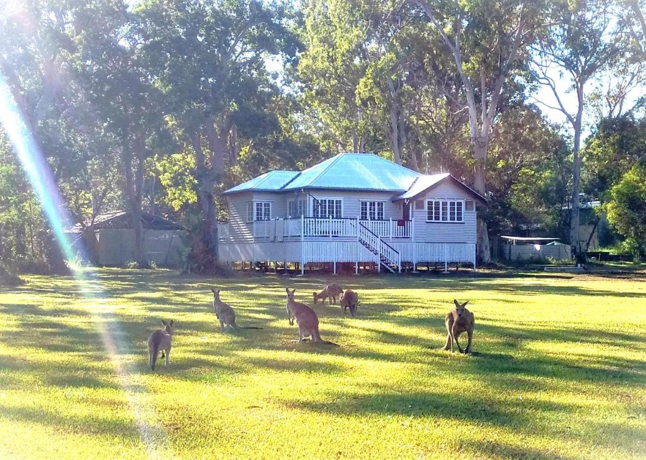 Lake Weyba Noosa Lodge & Kangaroos Peregian Beach Eksteriør billede