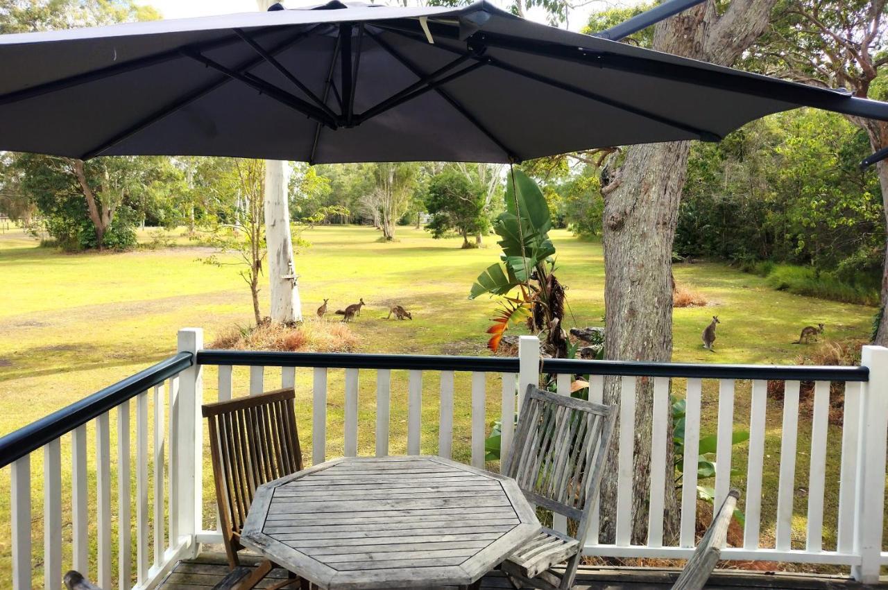 Lake Weyba Noosa Lodge & Kangaroos Peregian Beach Eksteriør billede