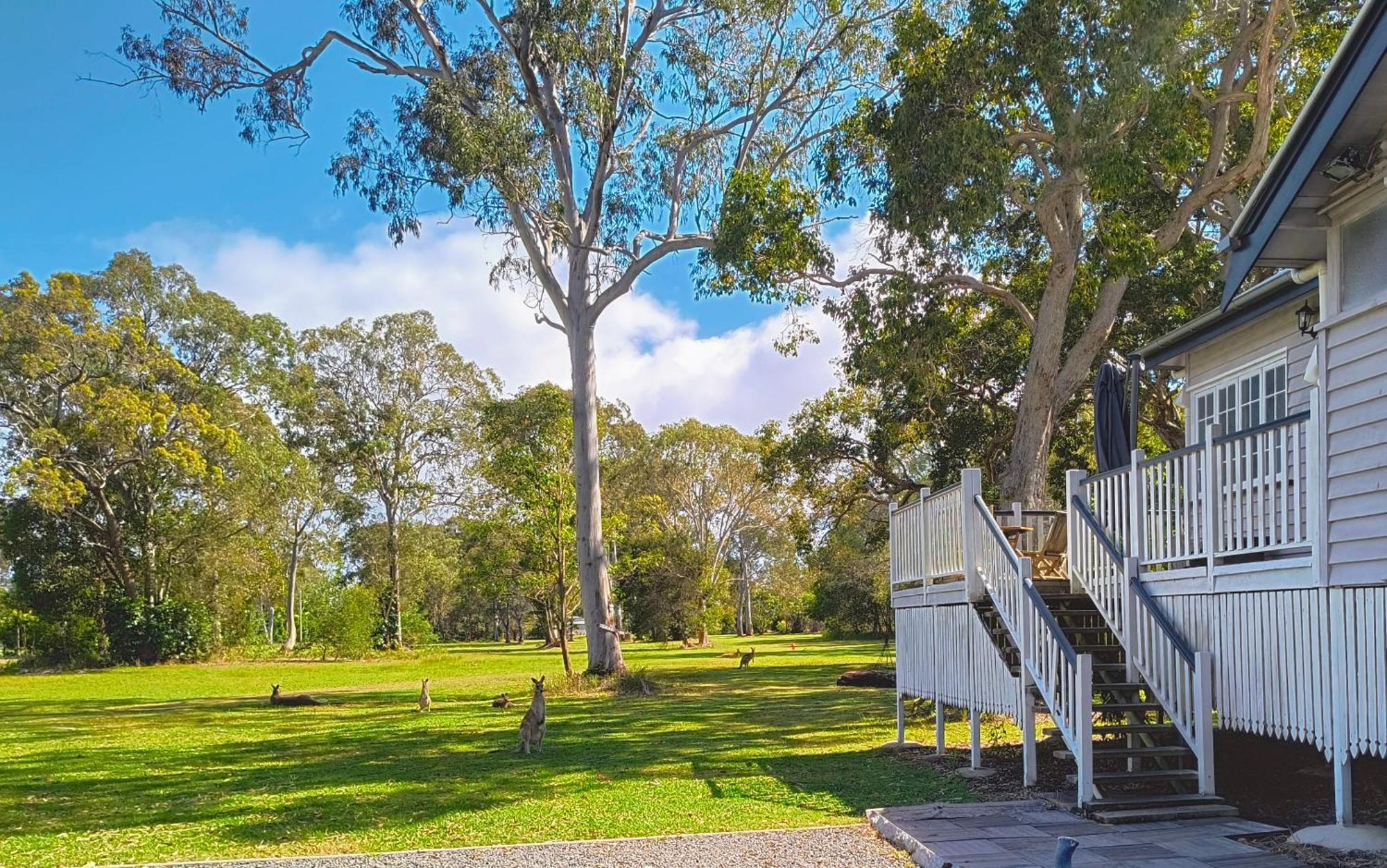 Lake Weyba Noosa Lodge & Kangaroos Peregian Beach Eksteriør billede