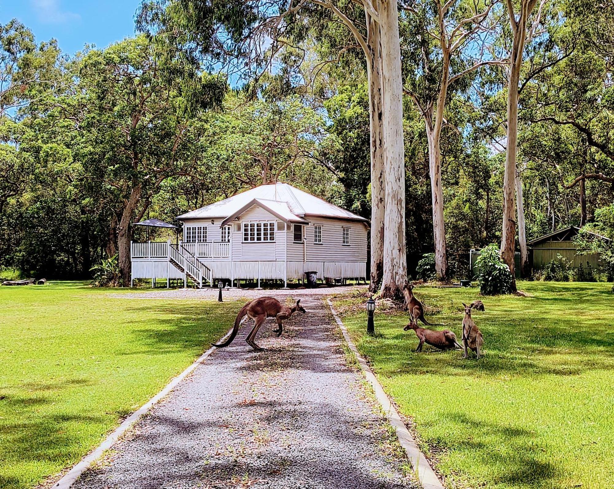 Lake Weyba Noosa Lodge & Kangaroos Peregian Beach Eksteriør billede